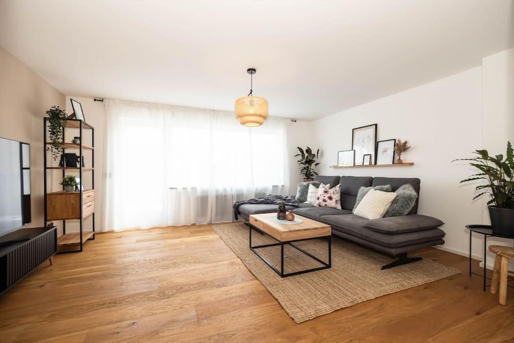 Luxury Apartment On The Rhein Busingen am Hochrhein Buitenkant foto