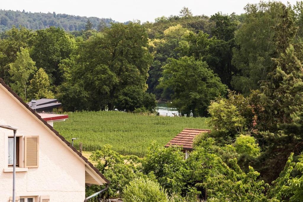Luxury Apartment On The Rhein Busingen am Hochrhein Buitenkant foto