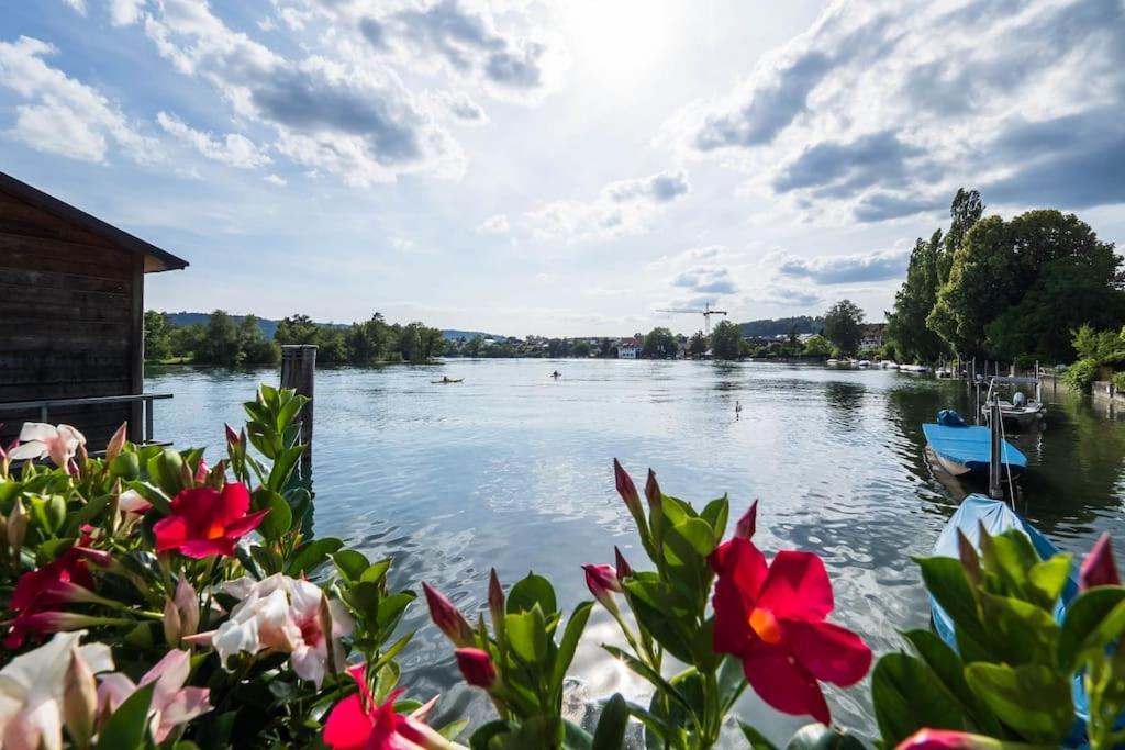 Luxury Apartment On The Rhein Busingen am Hochrhein Buitenkant foto