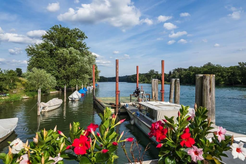 Luxury Apartment On The Rhein Busingen am Hochrhein Buitenkant foto