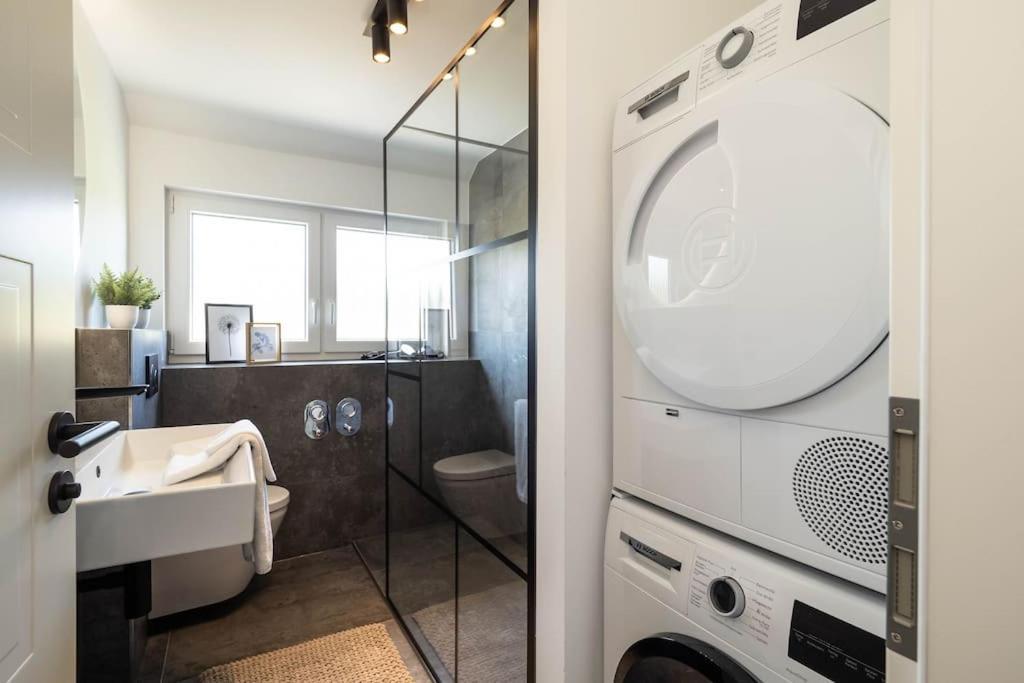 Luxury Apartment On The Rhein Busingen am Hochrhein Buitenkant foto