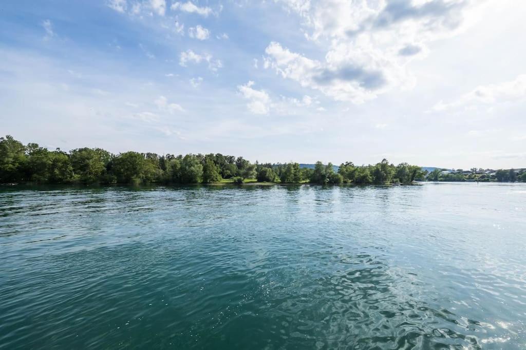Luxury Apartment On The Rhein Busingen am Hochrhein Buitenkant foto