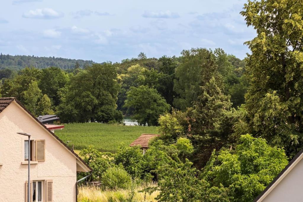 Luxury Apartment On The Rhein Busingen am Hochrhein Buitenkant foto