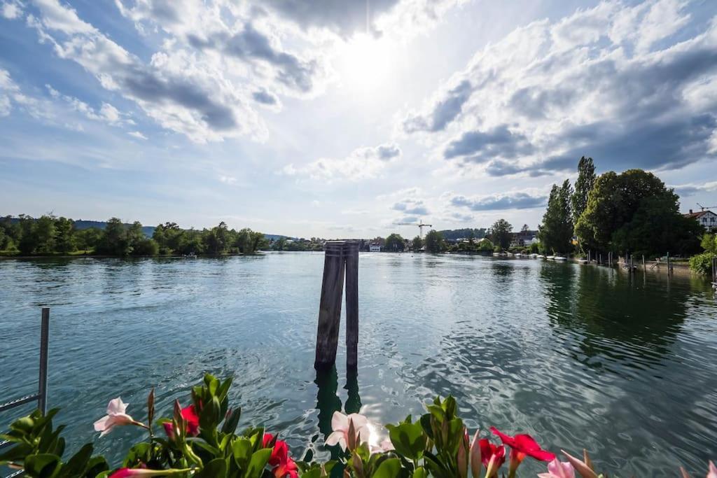 Luxury Apartment On The Rhein Busingen am Hochrhein Buitenkant foto