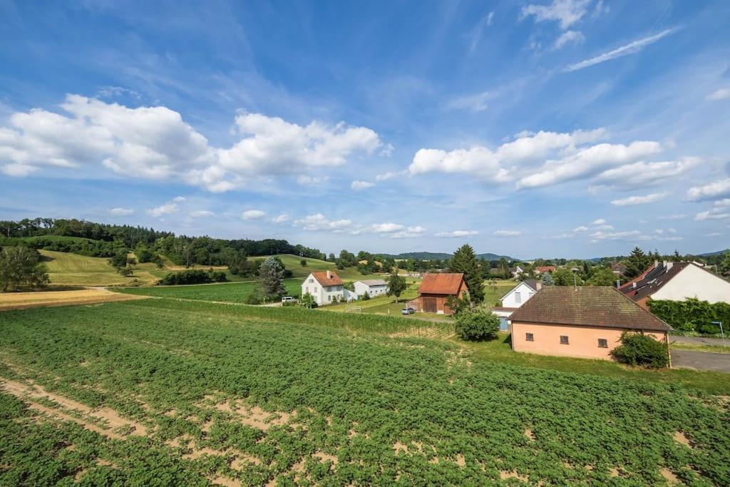 Luxury Apartment On The Rhein Busingen am Hochrhein Buitenkant foto
